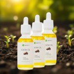 Triple Pack Jojoba Oil – 60ML