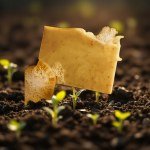 Turmeric & Frankincense Soap