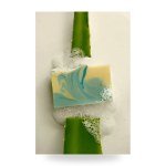 Aloe Vera & French Clay Bar