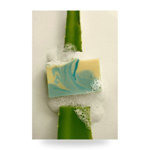 Aloe Vera & French Clay Bar