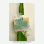 Aloe Vera & French Clay Bar