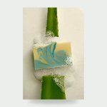 Aloe Vera & French Clay Bar