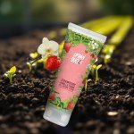 Strawberry Vanilla Shake Lotion