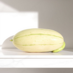 بذور قثاء (Snake Melon) هجين F1 - عبوة 1000 بذرة من MAGSEEDS
