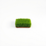 Gazon Lawn Grass Seeds 22.7 kg