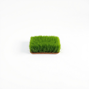 Gazon Lawn Grass Seeds 22.7 kg