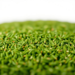 Gazon Lawn Grass Seeds 22.7 kg