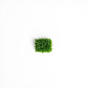 Twins Shadow Pro Lawn Grass Seeds