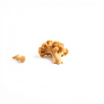 Mycorrhiza 800 g