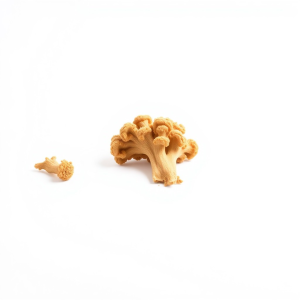 Mycorrhiza 800 g