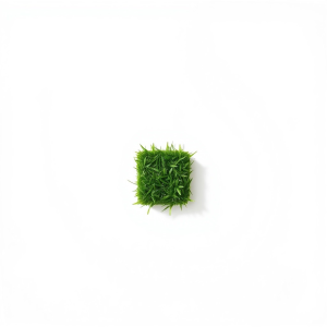 Gazon Lawn Grass Seeds 1 kg