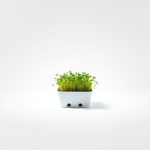 Microgreens Growing Kit (32 pcs)