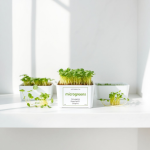 Microgreens Growing Kit (32 pcs)