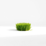 Shadow Pro Lawn Grass Seeds 500 g