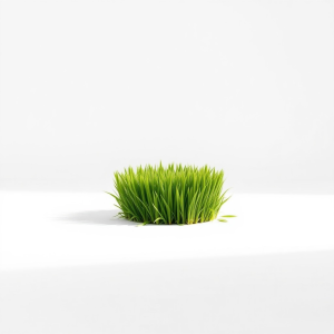 Shadow Pro Lawn Grass Seeds 500 g