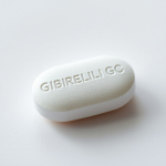 Gibberellic Acid 10% (1 Tablet)
