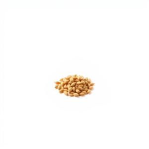 Acacia Glauca Seeds 4 g