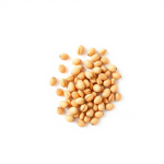 Papaya (Babaz) Seeds 4 g