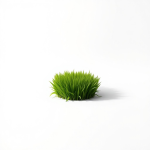 Shadow Pro Lawn Grass Seeds 1 kg