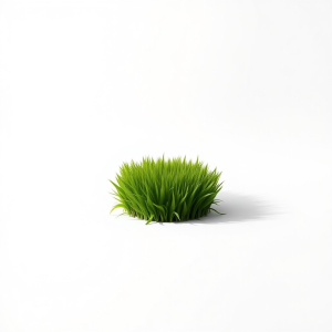 Shadow Pro Lawn Grass Seeds 1 kg