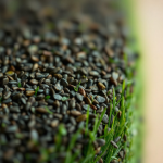 Shadow Pro Lawn Grass Seeds 1 kg
