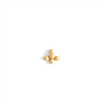 Lotus Seeds 5 pcs