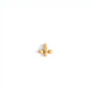 Lotus Seeds 5 pcs
