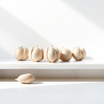 Lotus Seeds 5 pcs