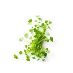 Parsley Microgreens Seeds 100 g