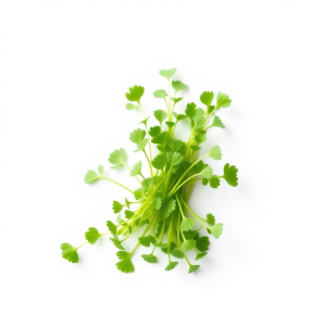 Parsley Microgreens Seeds 100 g