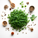 Parsley Microgreens Seeds 100 g