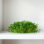 Parsley Microgreens Seeds 100 g