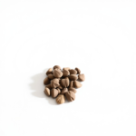 Jacaranda Seeds 2 g