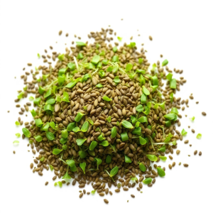 Alfalfa Microgreens Seeds 100 g