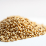Mimosa (Sensitive Plant) Seeds 3 g
