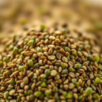 Chard Microgreens Seeds 60 g