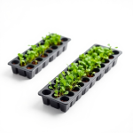 Microgreens Growing Trays (10 pcs)