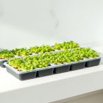 Microgreens Growing Trays (10 pcs)