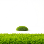 Next Lawn Grass Seeds 1 kg