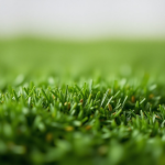 Next Lawn Grass Seeds 1 kg