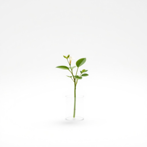 Plant Flowering 250 ml