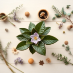 Plant Flowering 1 L