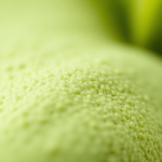 Plant Micro 1 L