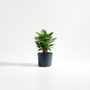 Plant Micro 20 L