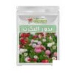 بذور البكرت