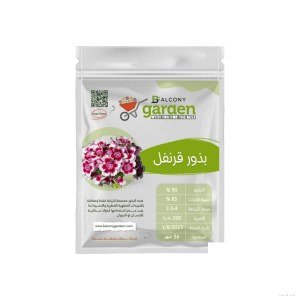 بذور قرنفل