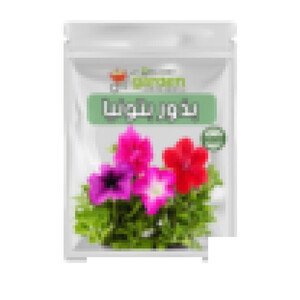 بذور بتونيا