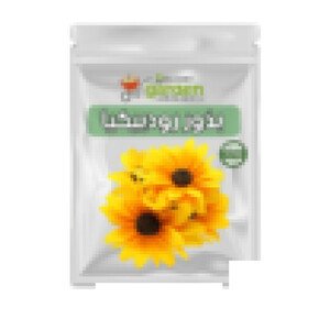 بذور رودبيكيا