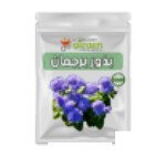 بذور برجمان