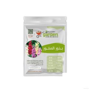 بذور منتور